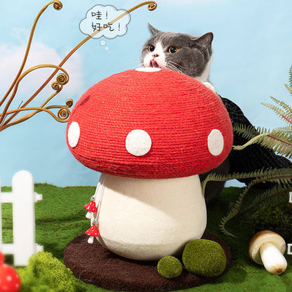 Cat Scratching Mushroom