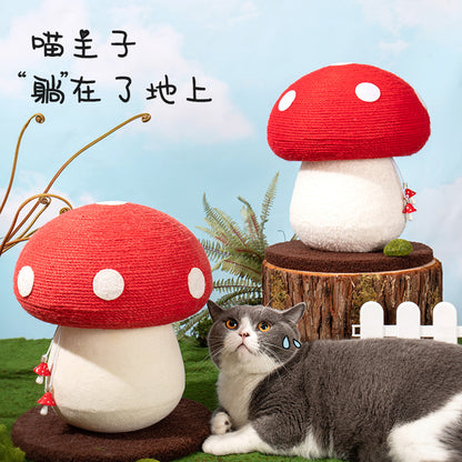 Cat Scratching Mushroom